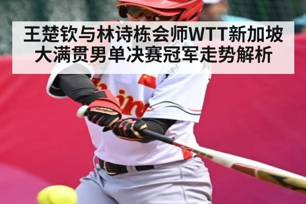 王楚钦与林诗栋会师WTT新加坡大满贯男单决赛冠军走势解析
